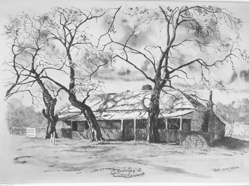 Pencil drawing of the old Customs House with trees and a cloudy sky.