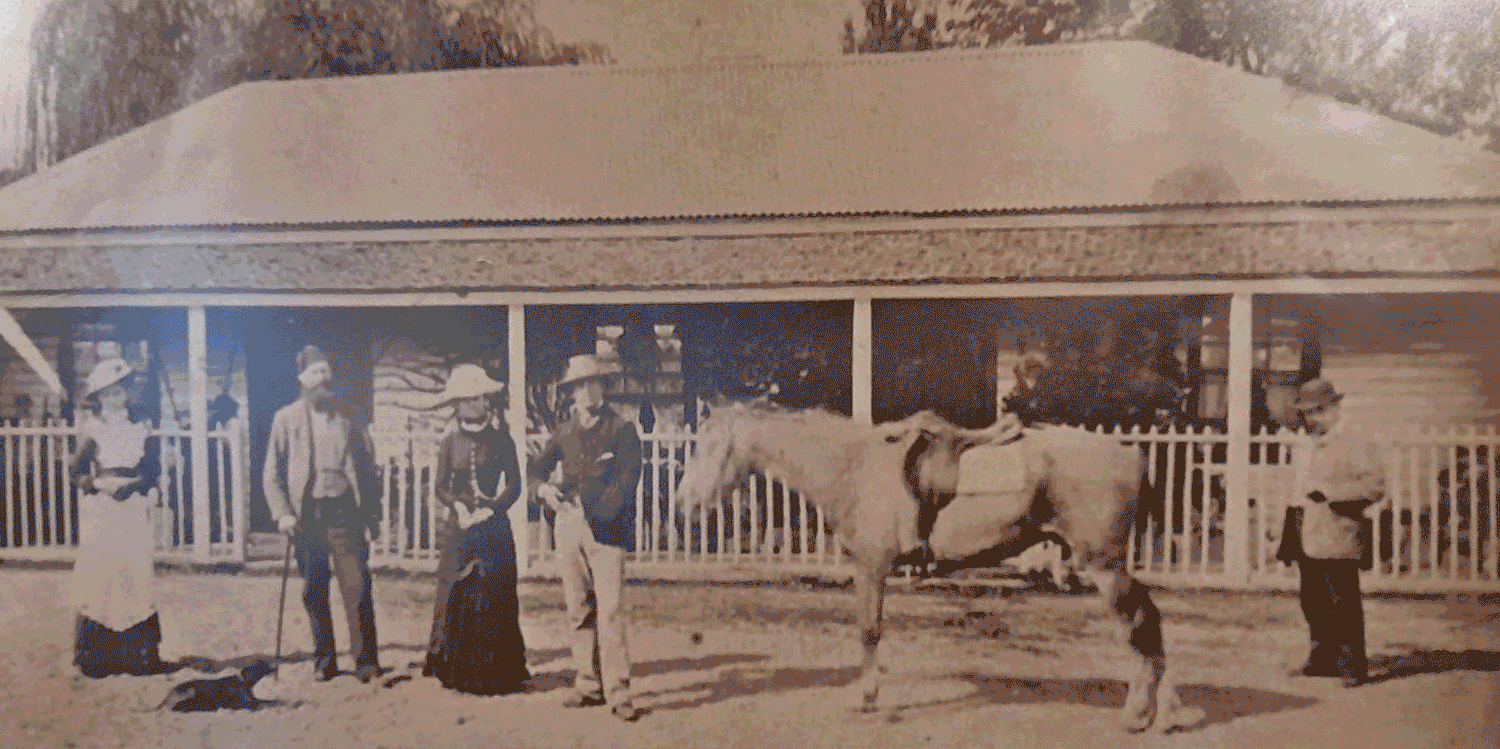 GIF file showing photos of the old Customs House, the first stage of La Maison, and how La Maison looks now.